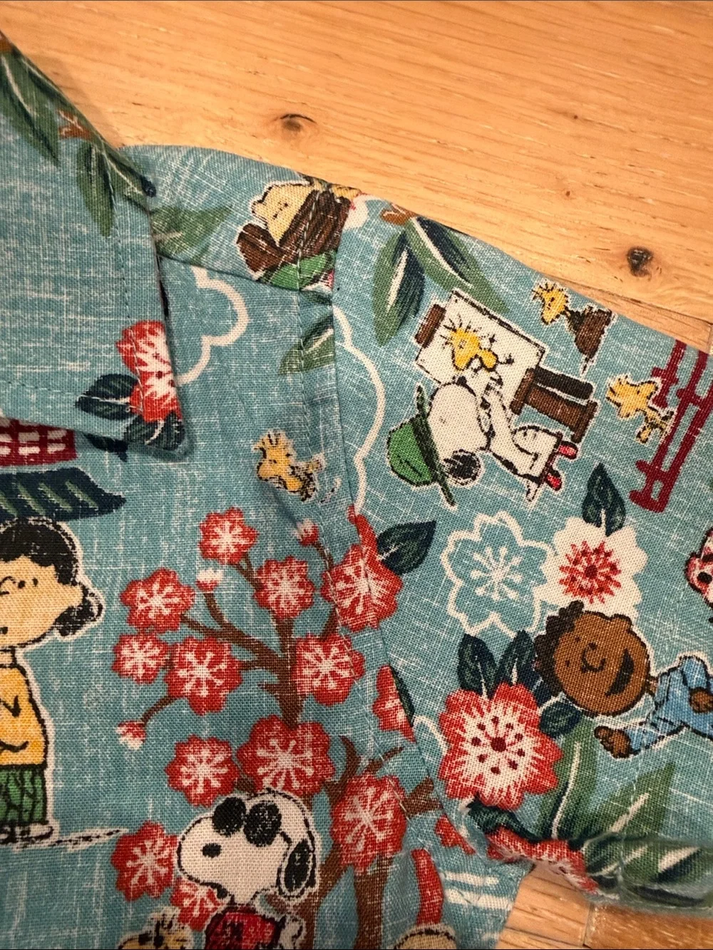 reyn spooner Kids Matching Set - snoopy‎ peanuts  12-18 months